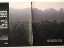 LP 12'': AND ALSO THE TREES, And also the Trees - 33 RPM, Vinyl NM / Cover NM