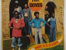 Doves 