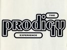 The Prodigy Experience Vinyl LP New 2008