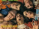 THE HEART – MUSHROOM – AUSTRIAN PSYCH KRAUT/FREAKBEAT – 1970 - RARE
