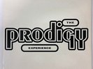 The Prodigy Experience 2x 12