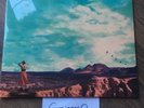 NOEL GALLAGHER'S HIGH FLYING BIRDS WHO BUILT THE MOON? Limited edition white lp