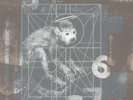 NEU LP Pixies - Doolittle #G56821857