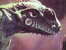 IGUANA