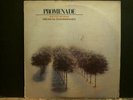 KEVIN BURKE AND MICHEAL O DOMHNAILL  Prominade  LP   Irish Folk   Great