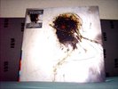 PETER GABRIEL  ++  PASSION  ++ 3 LP / 180 GRAMM VINYL  ++  NUMBERED LIMITED EDIT