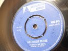? REGGAE BOYS TRAIN 69 DOLLY HOUSE ON FIRE UK SKA ROCKSTEADY SKINHEAD 7