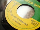 ? GLADIATORS TRAIN COMING BACK DOC BIRD FEELING FINE SKA ROCKSTEADY REGGAE 7