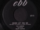 AMBERS: Never Let You Go / I'll Make A Bet 45 Vocal Groups