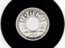 SUN PROMO 45RPM - SHIRLEY SISK - I FORGOT TO REMEMBER TO FORGET - INSTRO