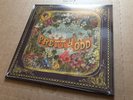 NEW SUPER RARE Panic  At The Disco - Pretty Odd Purple / Yellow Vinyl LP