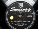 0660/ BILL HALEY-See you later, Alligator-The paper boy- Rock and Roll-Schellack