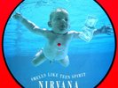 Nirvana Picture Disc Record 12