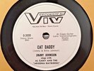 JIMMY JOHNSON / AL CASEY 78 RPM VIV ROCKABILLY 