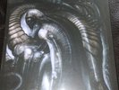TRIPTYKON Melana chasmata, 3×10