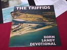 The Triffids:  Born sandy devotional  UK  A1/B1  first  pressing 1986  LP  EX+