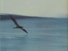 Chick Corea Return To Forever vinyl LP album record German ECM1022ST ECM 1972