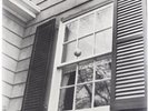 BEACH FOSSILS-WHAT A PLEASURE  (US IMPORT)  VINYL LP NEW