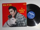 Elvis LP A Dog´s Life audifön AFNS-67361 USA 1979 Rare Boot Import Studio + Live