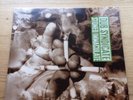 Dub Syndicate- Stoned Immaculate LP Dub Reggae Sherwood Lee Perry