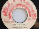 JOHNNY OSBOURNE - SEE AND BLIND - TECHNIQUES ( SKINHEAD 7 )