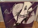 BLACK ROSE - S/T VINYL ORIGINAL  // 1980 // RARE // HTF // IMPORT // CHER