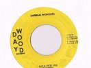 IMPERIAL WONDERS That's Alright / Zip-A-Doe-Do Day Wood Ohio Soul Funk 45 HEAR