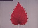 Depeche Mode - Freelove 12
