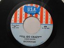 THE BUCKINGHAMS ROCK 45 I'LL GO CRAZY / DON'T WANT TO CRY - USA 844