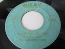 ALPHONSO HAMILTON RARE FLINT MICH NORTHERN SOUL 45 GATEWAY  I'LL LET YOU GO FREE