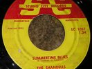 PRIVATE 1965 WI Rock 45 - SHANDELLS 