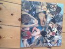 Panda Bear = Person Pitch - (Paw 14) Double LP: Ex condition