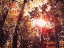 DUNGEN-SATT ATT SE  VINYL LP NEW