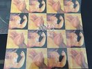 LP VINYL SANTA SABINA.- BABEL MANA BABASONICOS CAIFANES SODA STEREO CAFE TACUBA