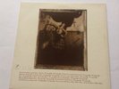 Pixies Vinyl - Surfer Rosa