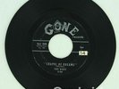 THE DUBS Chapel Of Dreams/Is There A Love For Me GONE Original 1958 DOO WOP 45