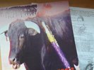 Agathocles - Razor Sharp Daggers LP Napalm Death, Repulsion, Terrorizer