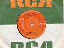 REGGAE  -- RIGHTEOUS FLAMES  -- LET THE MUSIC PLAY