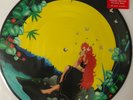 Anyone's Daughter by Anyone's Daughter(180g LTD Picture Disc), 2012 Tempus Fugit