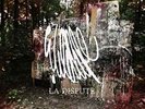 La Dispute Wildlife New Vinyl LP Album