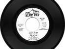 THE AD LIBS - JOHNNY MY BOY - BLUE CAT DEMO -  EXCELLENT CONDITION
