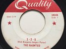 GARAGE PUNK The Haunted 1-2-5 Quality 45 rare Canadian MONSTER fuzz KILLER VG+