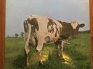 Pink Floyd - Atom Heart Mother Original Vinyl LP from 1970