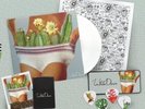 White Denim - Stiff (2016 deluxe white vinyl US edition + loads of extras MINT)