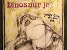 Rare DINOSAUR JR. - YOU'RE LIVING ALL OVER ME  Green Aqua Marbled VINYL LP Album