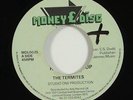 Termites 