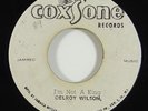Delroy Wilson/Soul Vendors 