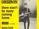 Rare   ROY ORBISON Scandanavian 45 single: There won't be many coming home/Goin