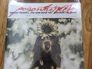 Poison the Well - You Come Before You LP (Black Vinyl/750)