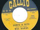 CA Instro Surf - Wes Dakus GALLIO 102 Surfs u rite / Dog food ?